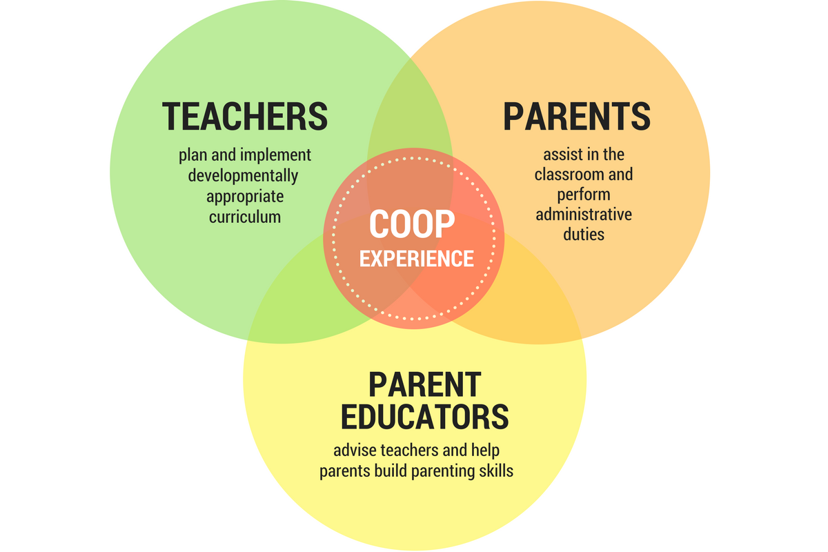 How Coop Works North Seattle Cooperative Preschools